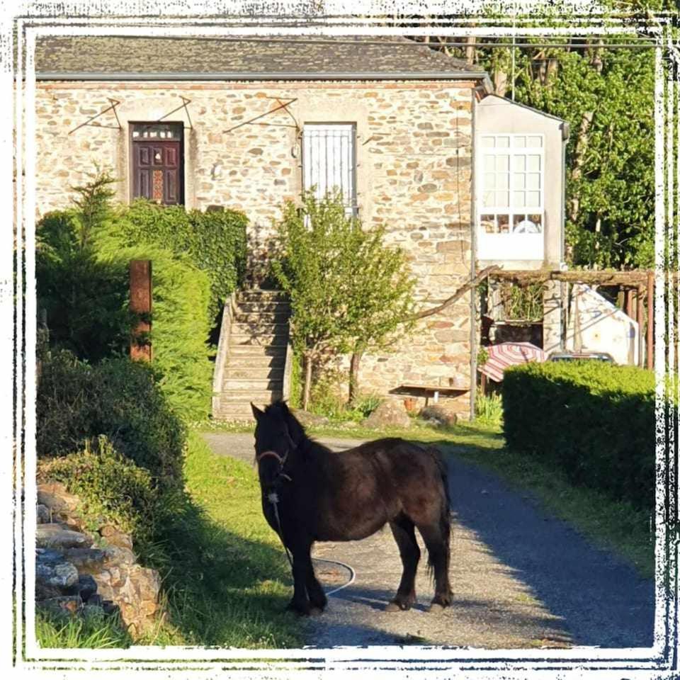 Casa Do Hiebra Alojamiento Rural Ribeira Sacra Castroncelos Buitenkant foto