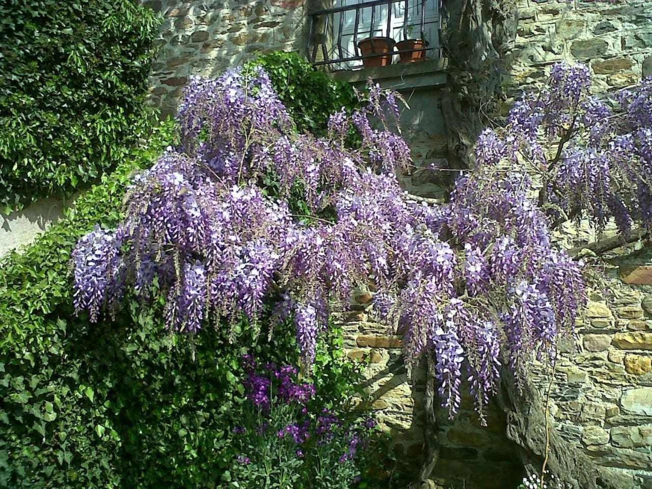 Casa Do Hiebra Alojamiento Rural Ribeira Sacra Castroncelos Buitenkant foto